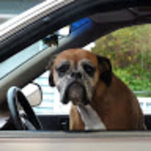 Meet your Posher, Bryan